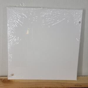 Unbranded Stretched Canvas 12in x 12in - SEALED